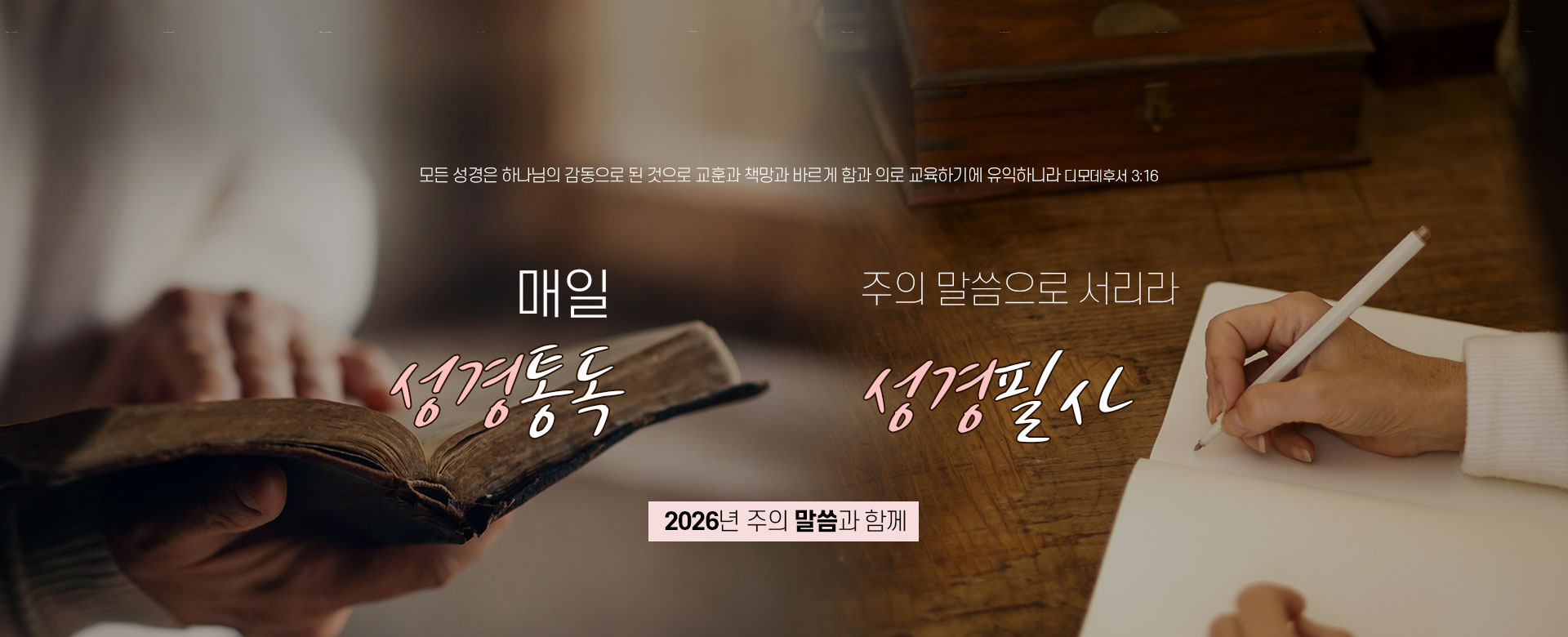 �����ʻ�